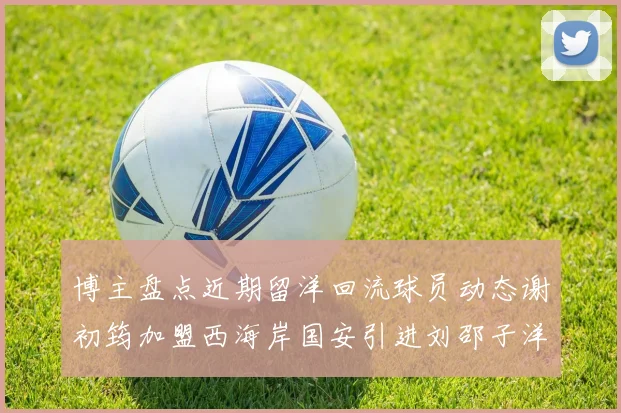 博主盘点近期留洋回流球员动态谢初筠加盟西海岸国安引进刘邵子洋