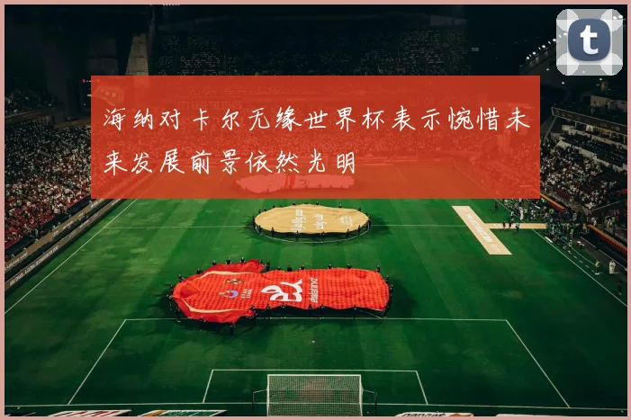 海纳对卡尔无缘世界杯表示惋惜未来发展前景依然光明