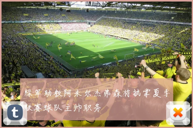 绿军助教阿米尔杰弗森将执掌夏季联赛球队主帅职务