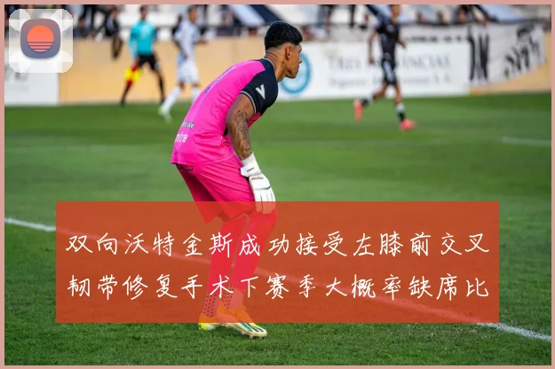 双向沃特金斯成功接受左膝前交叉韧带修复手术下赛季大概率缺席比赛